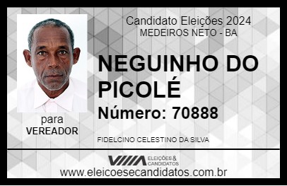 Candidato NEGUINHO DO PICOLÉ 2024 - MEDEIROS NETO - Eleições