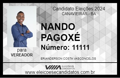 Candidato NANDO PAGOXÉ 2024 - CANAVIEIRAS - Eleições