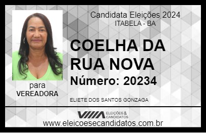 Candidato COELHA DA RUA NOVA 2024 - ITABELA - Eleições