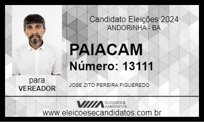 Candidato PAIACAM 2024 - ANDORINHA - Eleições