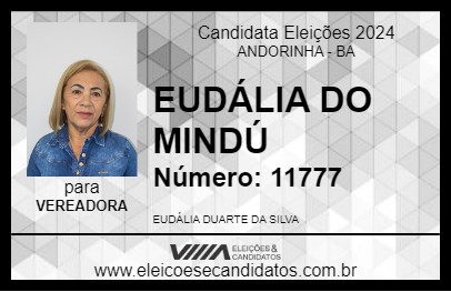 Candidato EUDÁLIA DO MINDÚ 2024 - ANDORINHA - Eleições