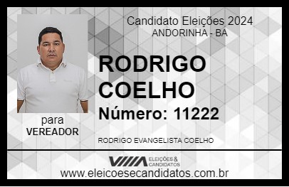 Candidato RODRIGO COELHO 2024 - ANDORINHA - Eleições