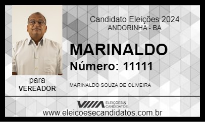 Candidato MARINALDO 2024 - ANDORINHA - Eleições