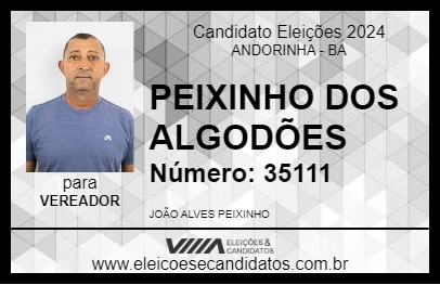 Candidato PEIXINHO DOS ALGODÕES 2024 - ANDORINHA - Eleições