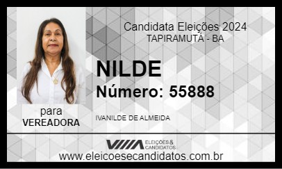 Candidato NILDE 2024 - TAPIRAMUTÁ - Eleições