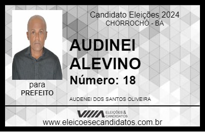 Candidato AUDINEI ALEVINO 2024 - CHORROCHÓ - Eleições