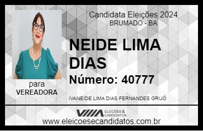 Candidato NEIDE LIMA DIAS 2024 - BRUMADO - Eleições