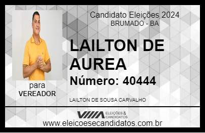 Candidato LAILTON DE AUREA 2024 - BRUMADO - Eleições