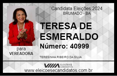 Candidato TERESA DE ESMERALDO 2024 - BRUMADO - Eleições