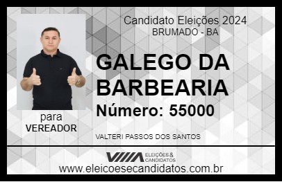 Candidato GALEGO DA BARBEARIA 2024 - BRUMADO - Eleições