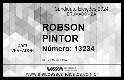 Candidato ROBSON PINTOR 2024 - BRUMADO - Eleições