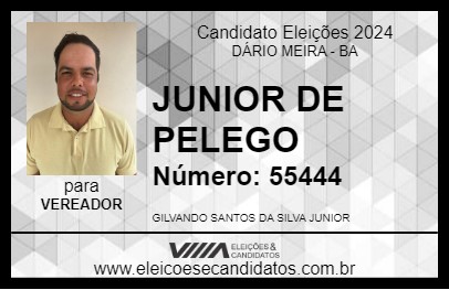 Candidato JUNIOR DE PELEGO 2024 - DÁRIO MEIRA - Eleições