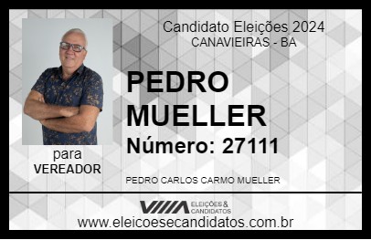 Candidato PEDRO MUELLER 2024 - CANAVIEIRAS - Eleições