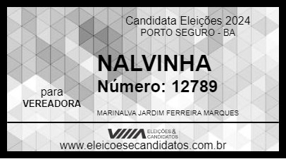 Candidato NALVINHA 2024 - PORTO SEGURO - Eleições