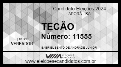 Candidato TECÃO 2024 - APORÁ - Eleições