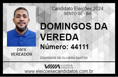 Candidato DOMINGOS DA VEREDA  2024 - SENTO SÉ - Eleições