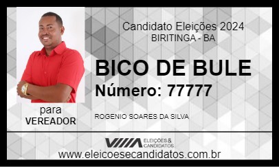 Candidato BICO DE BULE 2024 - BIRITINGA - Eleições