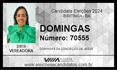 Candidato DOMINGAS 2024 - BIRITINGA - Eleições