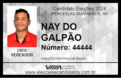 Candidato NAY DO GALPÃO 2024 - WENCESLAU GUIMARÃES - Eleições