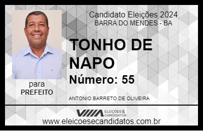 Candidato TONHO DE NAPO 2024 - BARRA DO MENDES - Eleições