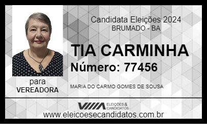 Candidato TIA CARMINHA 2024 - BRUMADO - Eleições