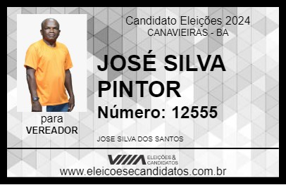 Candidato JOSÉ SILVA PINTOR 2024 - CANAVIEIRAS - Eleições