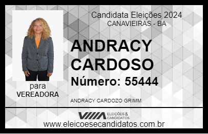 Candidato ANDRACY CARDOZO 2024 - CANAVIEIRAS - Eleições