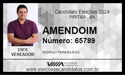 Candidato AMENDOIM 2024 - PIRITIBA - Eleições