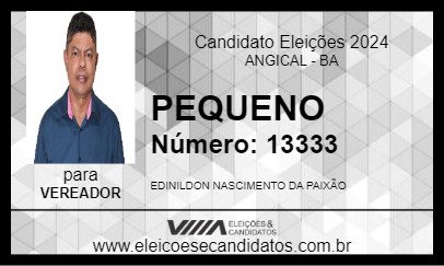 Candidato PEQUENO 2024 - ANGICAL - Eleições