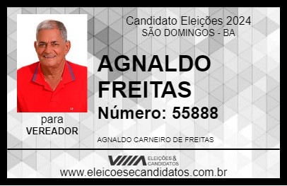 Candidato AGNALDO FREITAS 2024 - SÃO DOMINGOS - Eleições