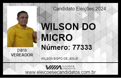 Candidato WILSON DO MICRO 2024 - TERRA NOVA - Eleições