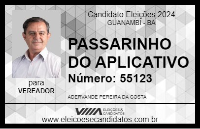 Candidato PASSARINHO DO APLICATIVO 2024 - GUANAMBI - Eleições