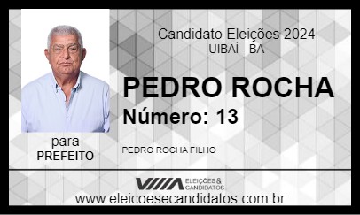 Candidato PEDRO ROCHA 2024 - UIBAÍ - Eleições