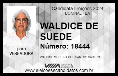 Candidato WALDICE DE SUEDE 2024 - BONINAL - Eleições