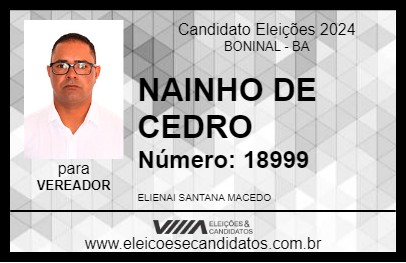 Candidato NAINHO DO CEDRO 2024 - BONINAL - Eleições