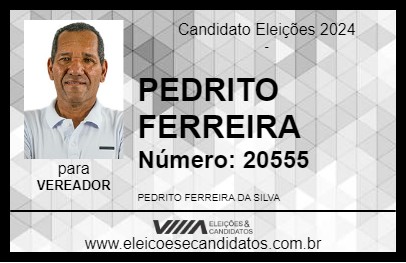 Candidato PEDRITO FERREIRA 2024 - PRADO - Eleições