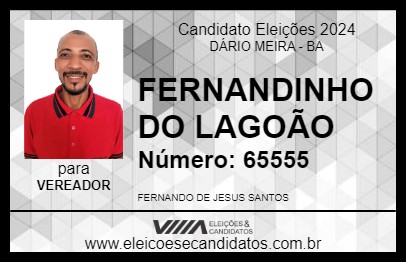 Candidato FERNANDINHO DO LAGOÃO 2024 - DÁRIO MEIRA - Eleições