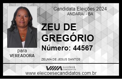 Candidato ZEU DE GREGÓRIO 2024 - ANDARAÍ - Eleições