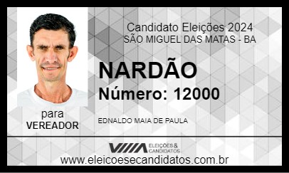 Candidato NARDÃO 2024 - SÃO MIGUEL DAS MATAS - Eleições