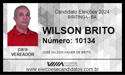 Candidato WILSON BRITO 2024 - BIRITINGA - Eleições