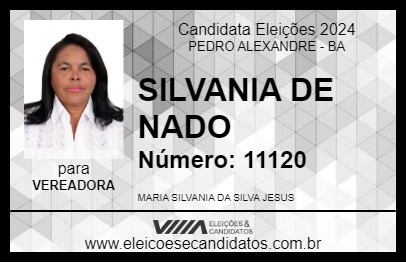 Candidato SILVANIA DE NADO 2024 - PEDRO ALEXANDRE - Eleições