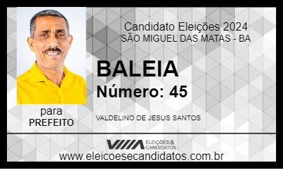 Candidato BALEIA 2024 - SÃO MIGUEL DAS MATAS - Eleições