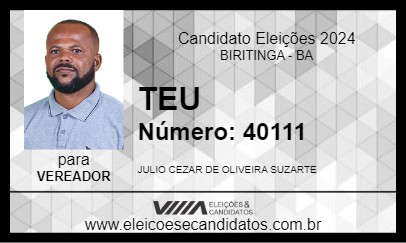 Candidato TEU 2024 - BIRITINGA - Eleições