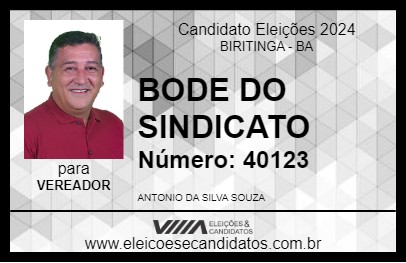 Candidato BODE DO SINDICATO 2024 - BIRITINGA - Eleições