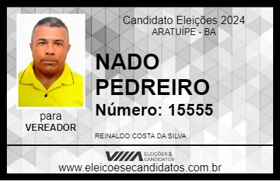 Candidato NADO PEDREIRO 2024 - ARATUÍPE - Eleições