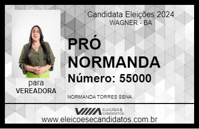 Candidato PRÓ NORMANDA 2024 - WAGNER - Eleições