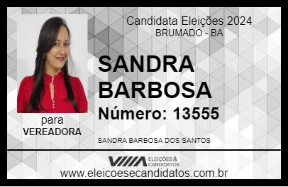 Candidato SANDRA BARBOSA 2024 - BRUMADO - Eleições