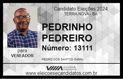 Candidato PEDRINHO PEDREIRO 2024 - TERRA NOVA - Eleições