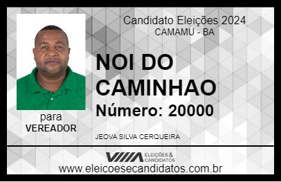 Candidato NOI DO CAMINHAO 2024 - CAMAMU - Eleições