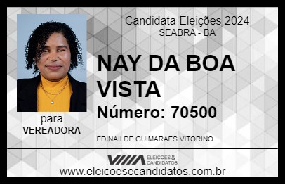 Candidato NAY DA BOA VISTA 2024 - SEABRA - Eleições